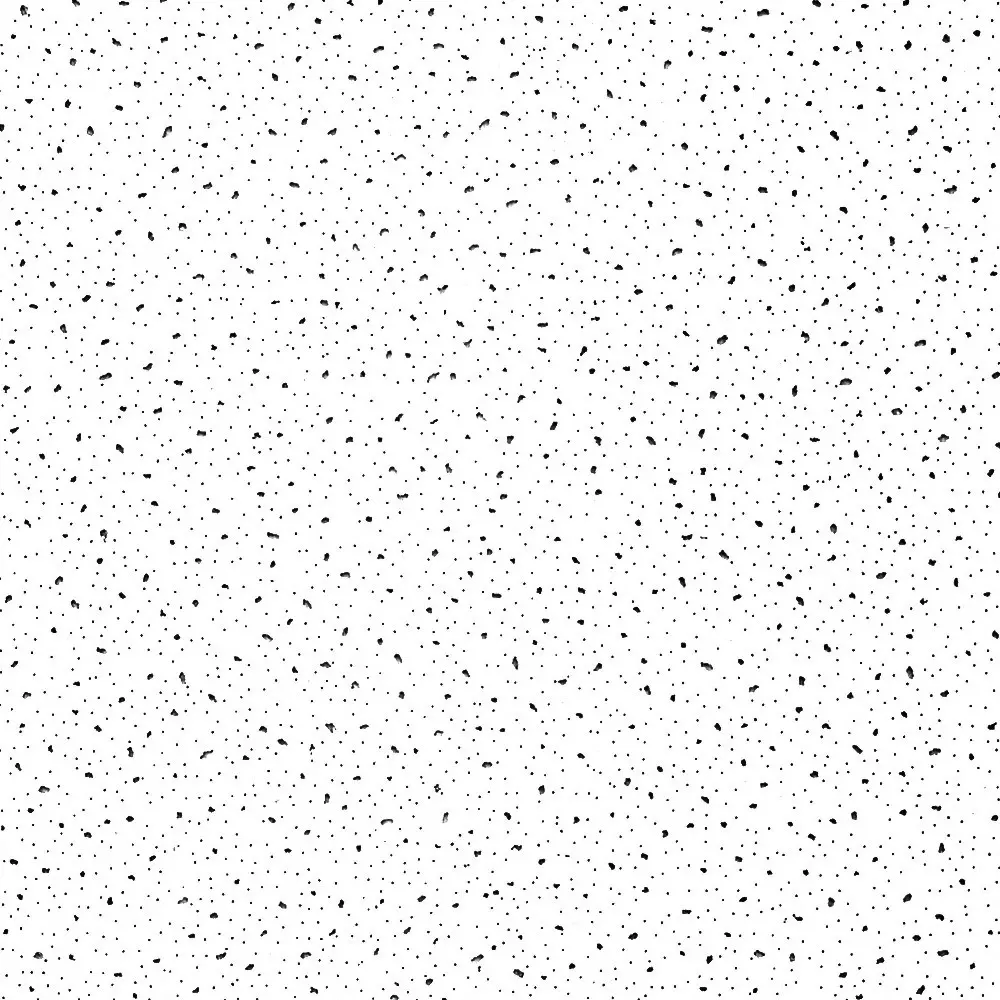 100_1048878638 (1)