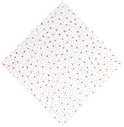 fine-fissured-500x500
