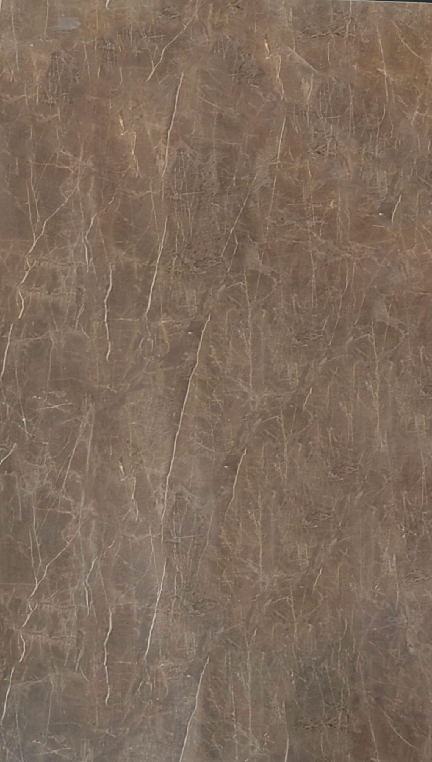 H009A BROWN EMPARO
