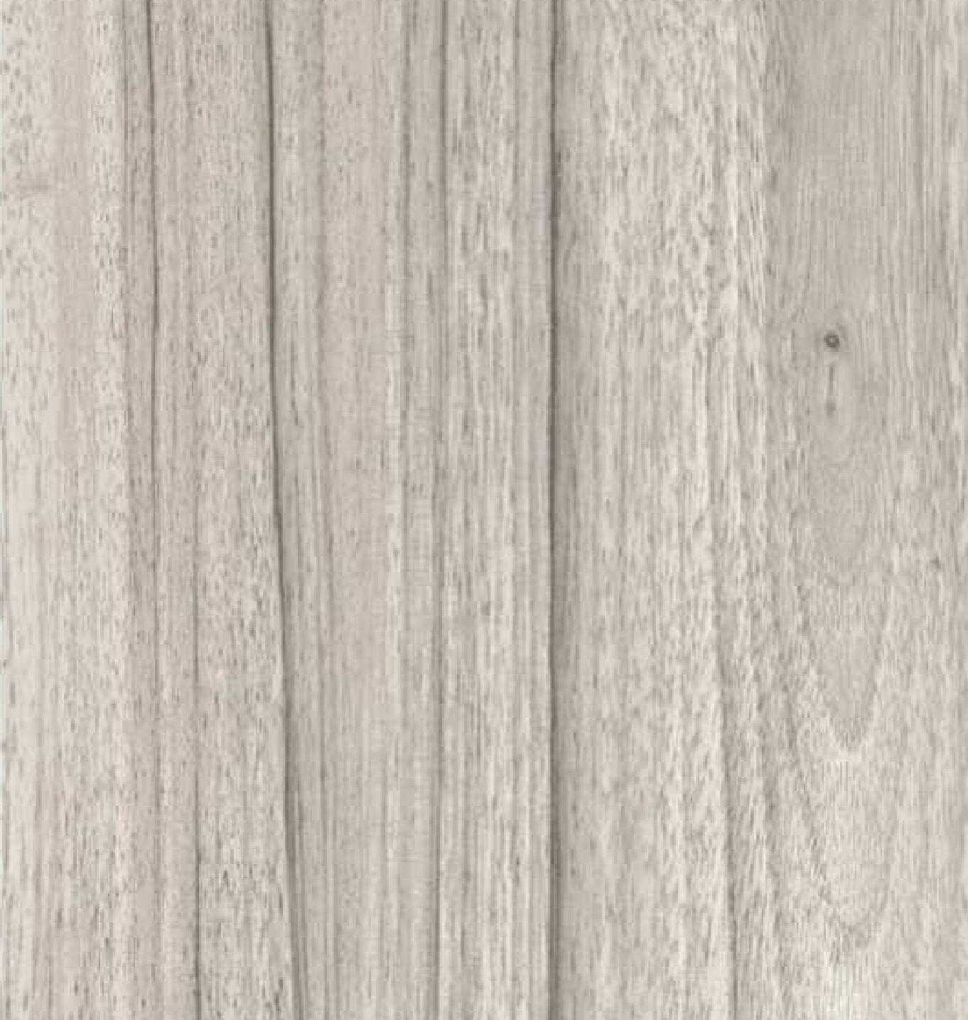 KITAMI ELM LIGHT