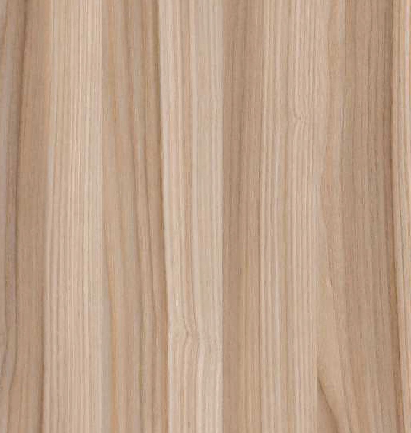 SWAMP ASH TREE