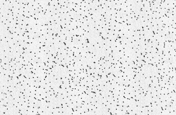 RadarClimaplus-Tex-870x569_en-600x392