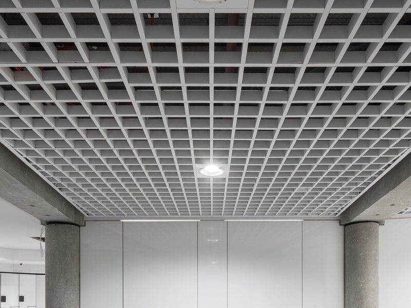 brack-lrg-800-com-48-min2